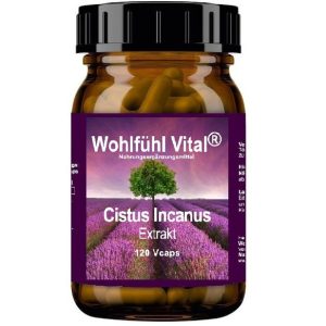 Cistus Incanus Wohlfühl Vital, 120 Kapseln, von Wohlfühl Vital