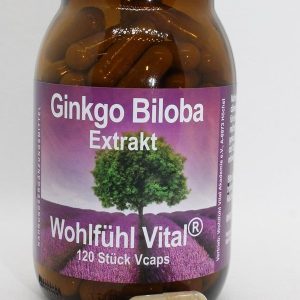 Ginkgo Extrakt, 120 Kapseln, von Wohlfühl Vital