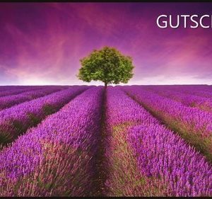 Gutschein über 50€