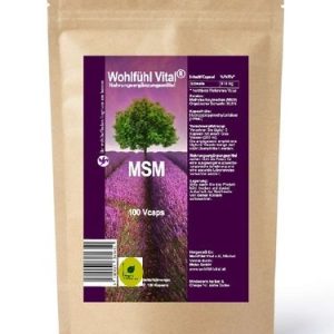 MSM Kapseln, 100 Kapseln, von Wohlfühl Vital