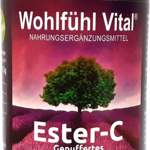 Ester-C Gepuffertes Vitamin C,  90 Kapseln, von WohlfühlVital