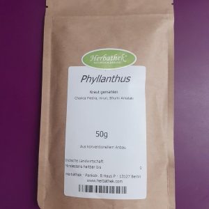 Phyllanthus 50g von Herbathek