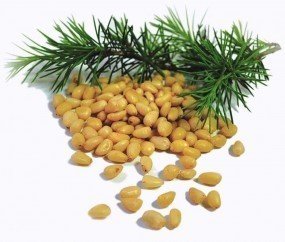 Sibirische Zedernnüsse 500g von Taiga Naturkost