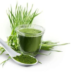 Weizengras Vita, 500g,, von CELLAVITA