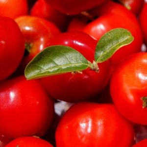 Acerola Bio Vitamin C 500mg, 150 Kapseln, von Wohlfühl Vital
