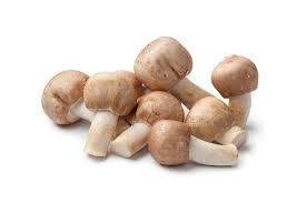 Agaricus Blazei Murill 120 Kapsel Nachfüllpackung von Wohlfühl Vital